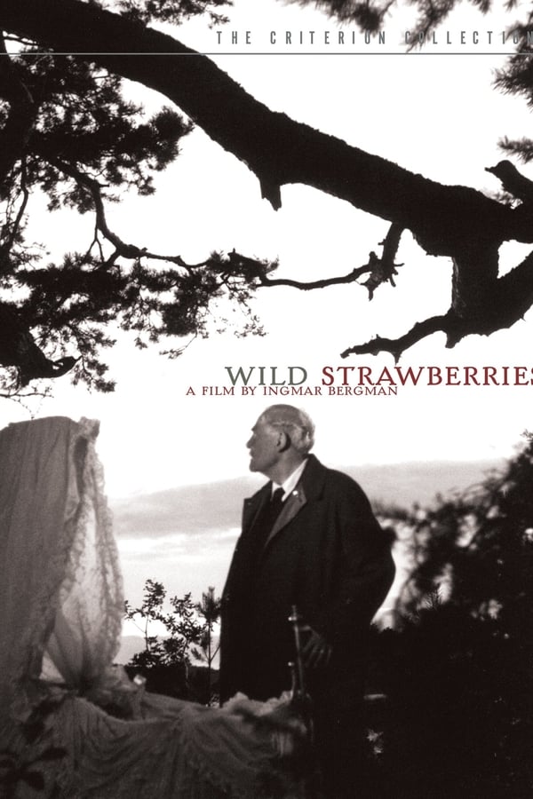 Αγριες φράουλες